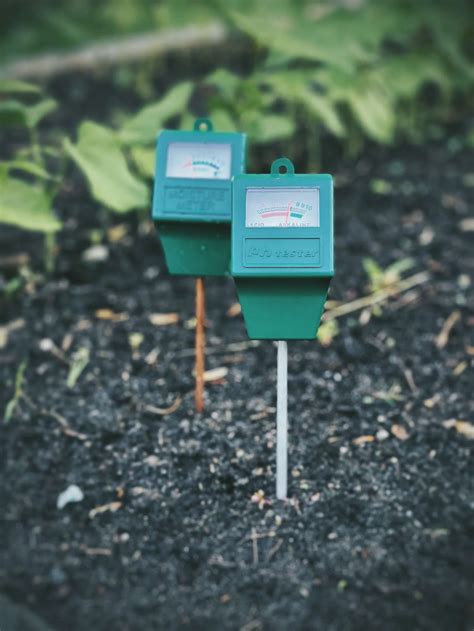 The 5 Best Soil PH Testers In 2022 The Homesteading RD In 2022 Soil