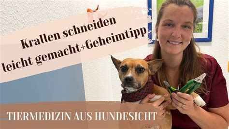 Krallen Schneiden Beim Hund Leicht Gemacht Geheimtipp YouTube