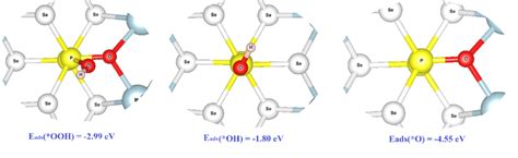 Optimized Adsorption Structures For Oer Intermediates Download