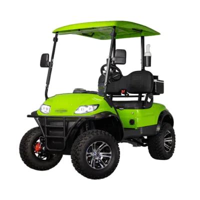 48V Battery Powered 2 Seaters Lifted Buggy Electric Golf Cart China