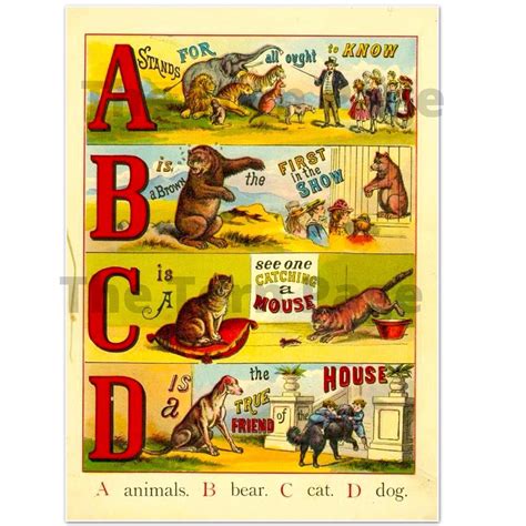 Vintage Animal Alphabet Flashcards Shabby Chic Digital Etsy Australia