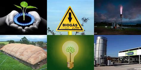 Biogás características e como funciona Sustentável