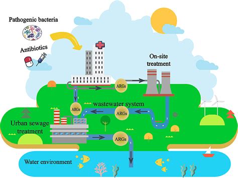 Frontiers Hospital Wastewater As A Reservoir For Antibiotic