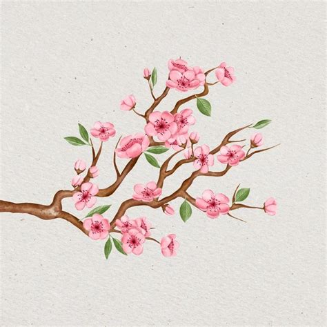 Spring Animation Motion Design Video Motion Design Projects Design
