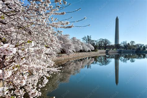 Washington Monument Stock Photo | Adobe Stock