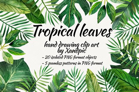 Watercolor Tropical Leaves Clip Art Digital Drawing Tropical Leaves