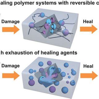 Schematic Diagram Of Intrinsic And Extrinsic Self Healing Mechanisms A