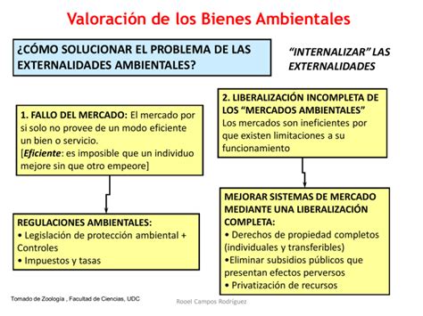 Valoraci N De Los Bienes Ambientales