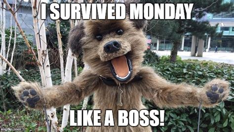 I Survived Monday Imgflip