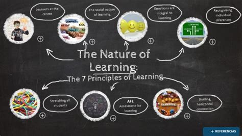 The Nature Of Learning The Principles Of Learning Infography