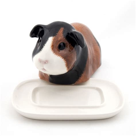 Quail Ceramics Guinea Pig Butter Dish Multi Animal Ts 4 U