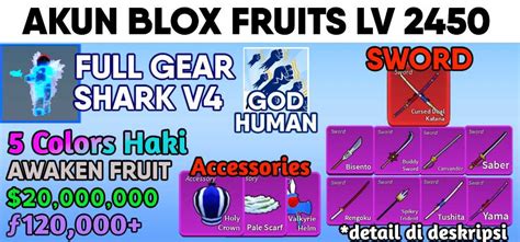 Blox Fruits Account Blox Fruits Full Gear Awaken Race Shark V