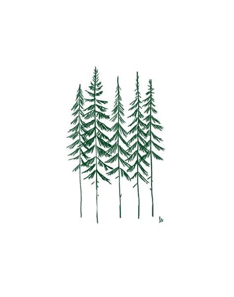 Evergreen Tree Outline Drawing