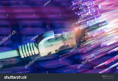 Network Cables Closeup Fiber Optical Background Stock Photo 738393577