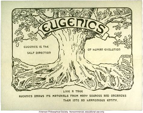 Eugenics Tree Logo Dna Learning Center