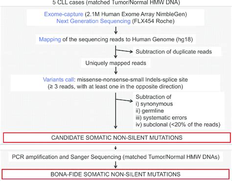 Figure S1 Wes Approach Computational Pipeline Used For The Analysis Download Scientific