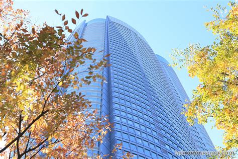 Autumn Colors Report 2014 - Roppongi Hills Mori Tower and Autumn Colors - 10 Hometowns for Each ...