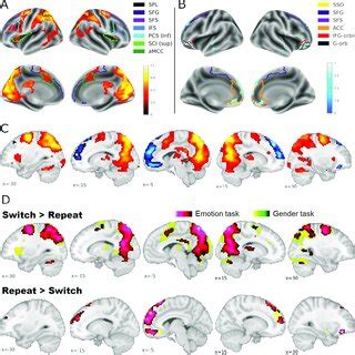 Brain Activation Patterns For Planned Contrasts Brain Regions Showing