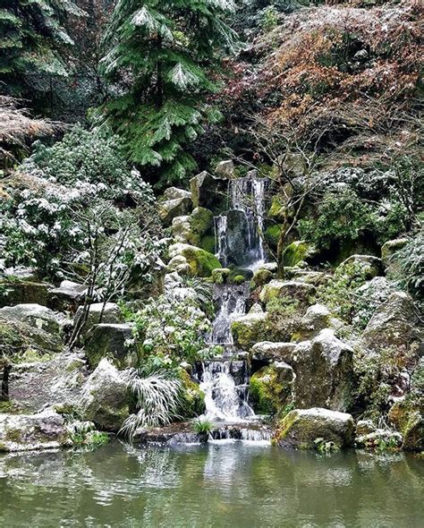 Portland Japanese Garden in winter | Portland japanese garden, Japanese ...