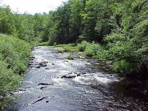 Envirsci Inquiry Lehigh River Watershed Explorations