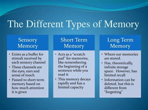 Types of Human Memory - Free Download