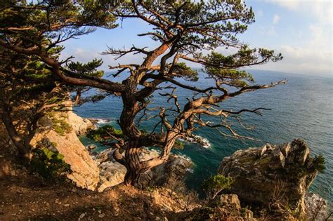 Latakia Al Samra Oh The Places Youll Go Landscape Nature