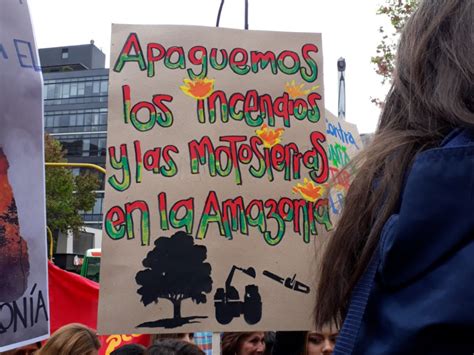 Colombianos Protestan Ante La Embajada De Brasil Por Los Incendios En La Amazonía Asociación