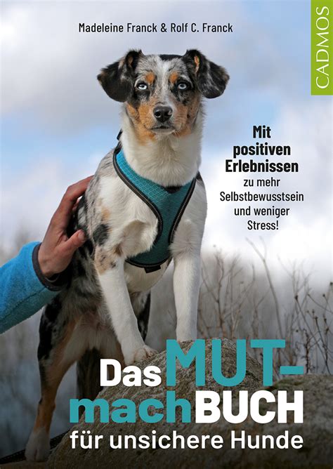 Das Mutmachbuch für unsichere Hunde avBuch Shop