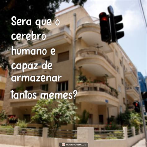 Descubra As Melhores Frases Meme Para Expressar Seus Pensamentos