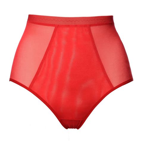 Red Mesh High Waist Panties With Layering In The Front Flash You And