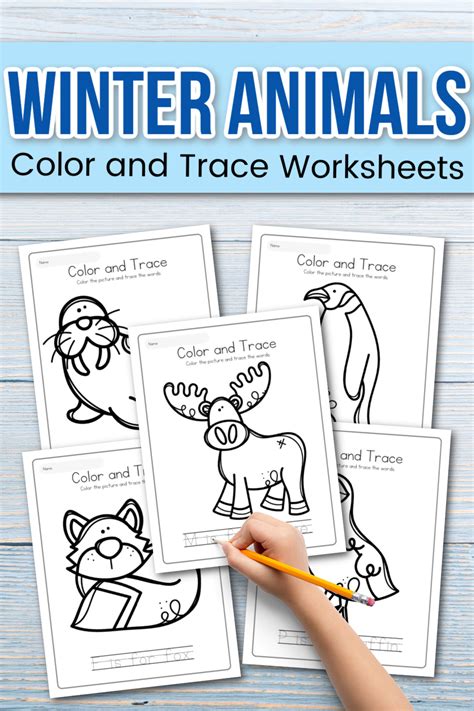 Free animals in winter worksheet, Download Free animals in winter worksheet png images, Free ...