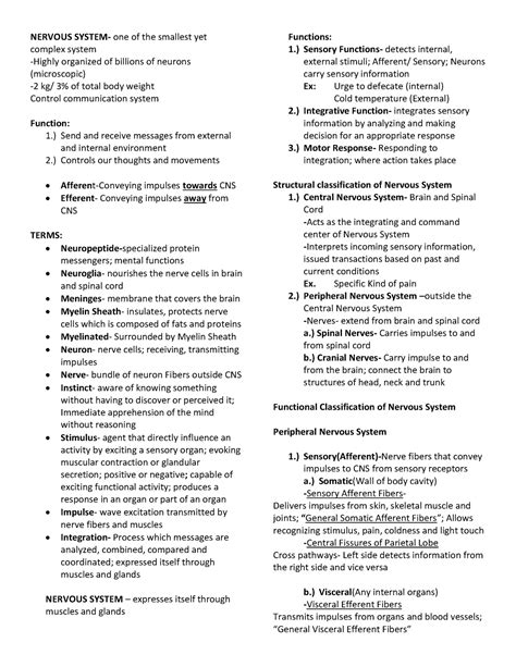 Nervous System Reviewer In Anaphy Nervous System One Of The