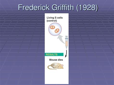 PPT - Frederick Griffith (1928) PowerPoint Presentation, free download ...