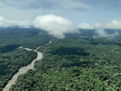 Rainforest conservation meets cacao production in the Congo Basin ...