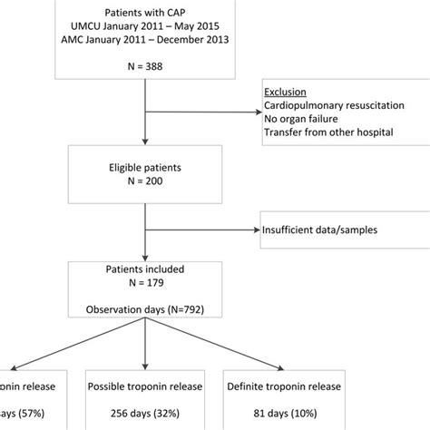 Patient Inclusion Flow Chart Download Scientific Diagram