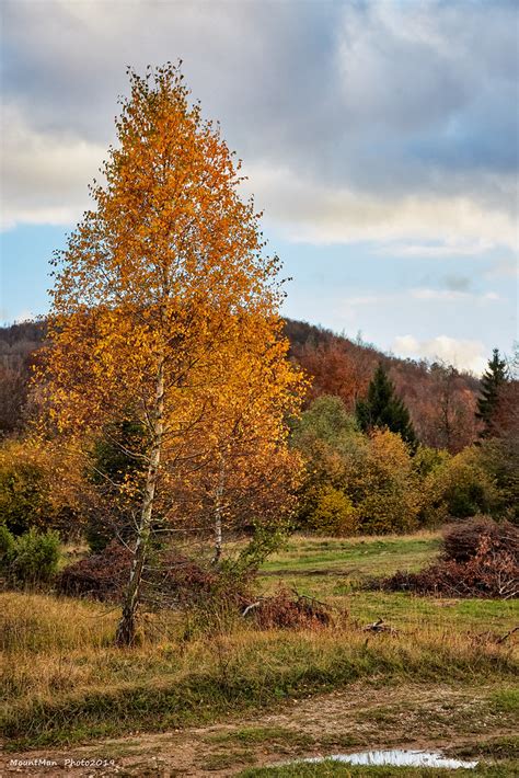 Jesen u šumi (4) | MountMan Photo | Flickr