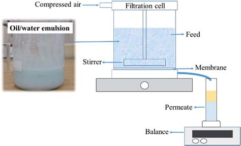 Schematic Diagram Of Dead End Filtration Download Scientific Diagram