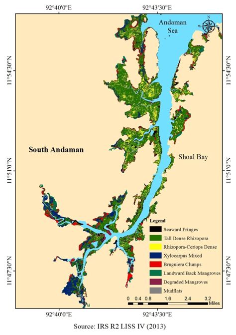 Zonation Pattern Of Mangroves In Shoal Bay South Andaman Island