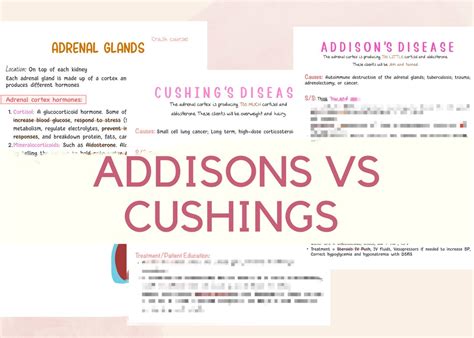 Addisons Vs Cushings Medsurg Review 3 Pages Includes A P And