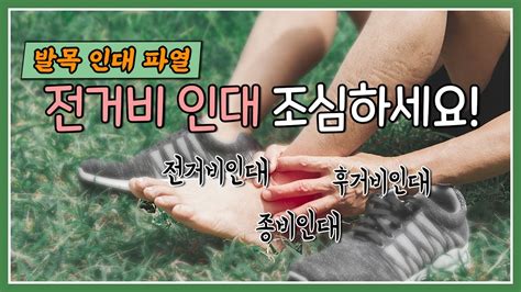 2편 발목인대 파열｜발목인대 구조 전거비인대 종비인대 후거비인대 발목인대 발목염좌 Youtube