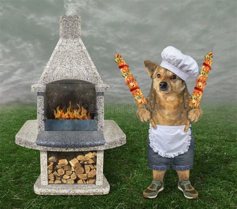 Dog Cooking Grilled Meat 2 Stock Photo Image Of Hiking 159941916