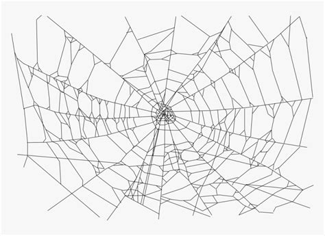 Download Spider Web Png File 368 Spider Web Transparent Background