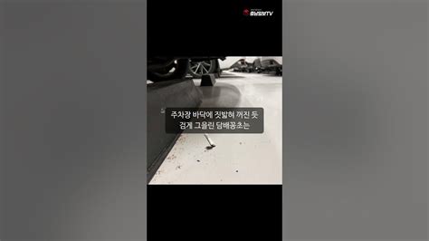 충남일보tv 1년 전 화재참사 대전 현대아울렛 지하주차장서 담배꽁초 발견 버려진 시민 의식 Youtube