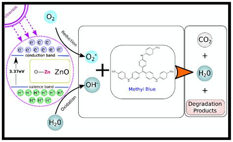 Catalysts Free Full Text Synthesis And Characterization Of Zinc