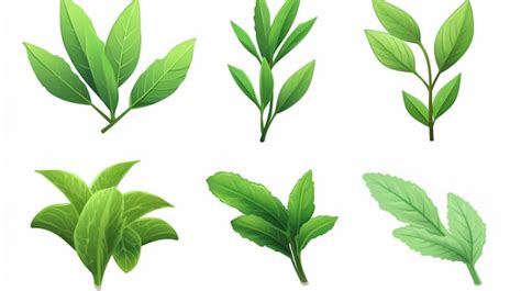 Premium Vector A Collection Of Green Leaves And Plants