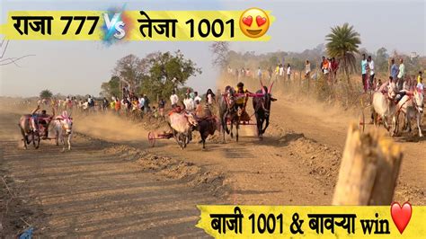 बाजी 1001 And बावऱ्या Win ️ कडावचा राजा 777 🆚 तेजा 1001 काकडवालचा