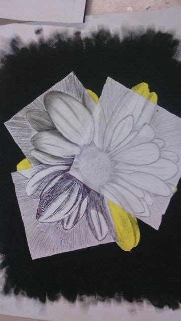 Mixed Media Natural Forms Gcse Mixed Media Nature Inspiration Art