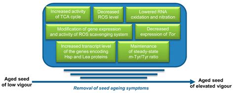 Ijms Free Full Text Nitric Oxide In Seed Biology