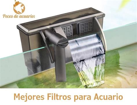 MEJORES FILTROS PARA ACUARIO Guía y Comparativas