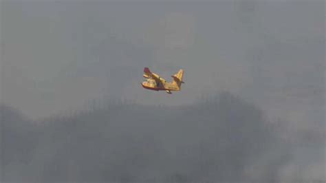 Ferragosto Di Incendi In Sicilia Canadair In Azione Nel Catanese